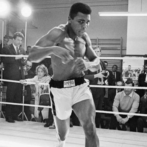 Meet your Posher, Fawad - Picture 1 of 1